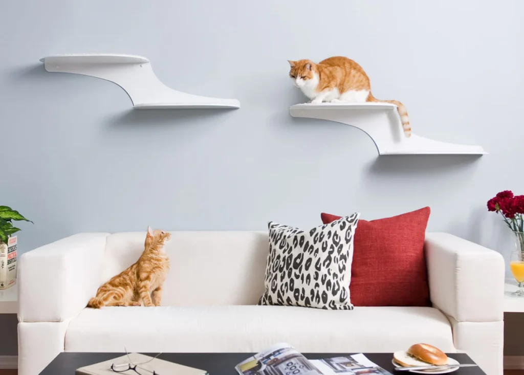 Ambiente Perfeito para o seu Gato